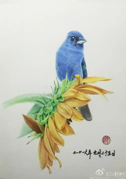 纸上彩铅《花鸟图》作者:@oo醉蝶翎oo