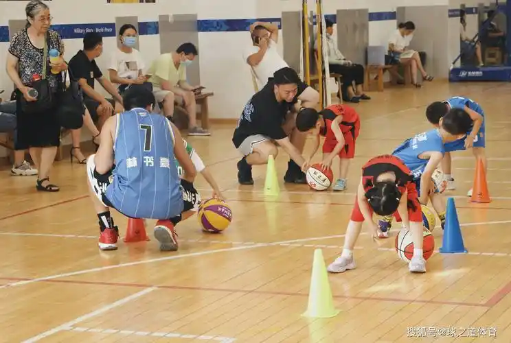 1,篮球班隶属于教育培训项目,既然是属于教育行业是需要去当地的教育