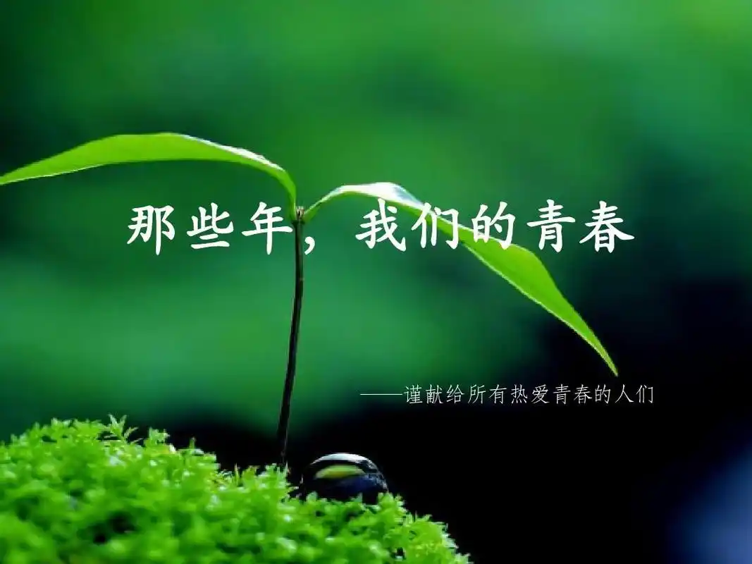 那些年,我们的青春