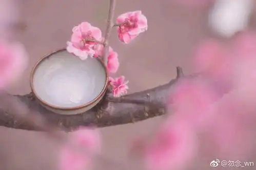 摄影 意境 壁纸 古风 图片来自微博.