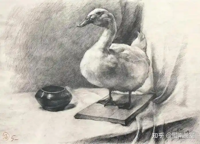 海量中央美术学院附中最新素描作品及历届经典作品欣赏