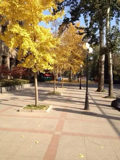 中央美术学院附中