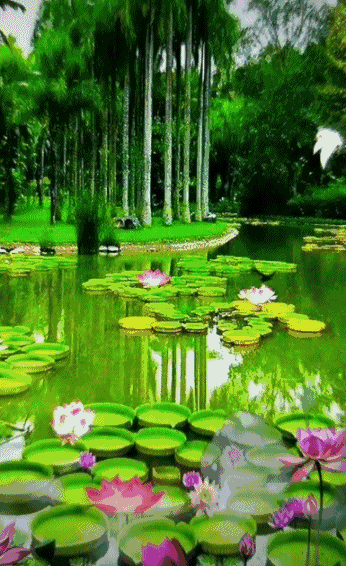 【七绝】*山水溢春*       ----天之娇子 谁把丹青抛天下,誓将青山赋