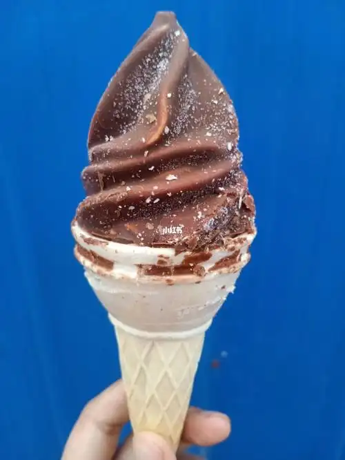 雪糕火炬3块钱一根01