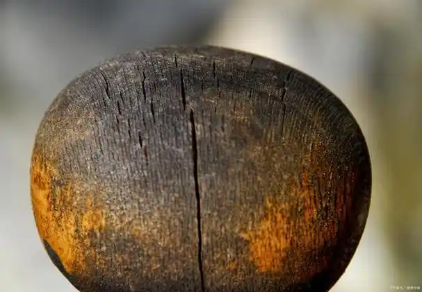 同时,犀牛角手串也因其独特的纹理和古朴的质感,被视那为么一,种如高