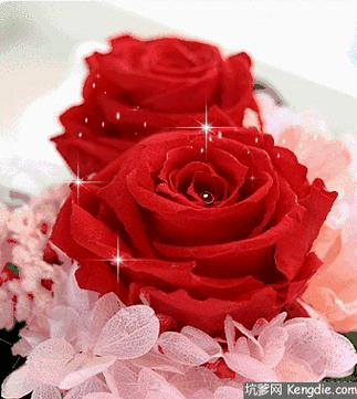 340_380gif 动态图 动图