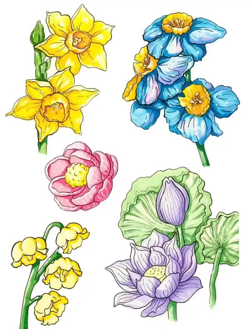 花卉分享#一起学画画 #创意美术 #想画就画 - 抖音