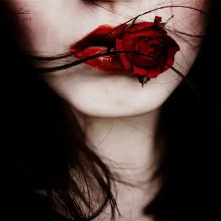 有些事情,当我们年轻的时候无法懂得,当我们懂得的时候已不再年轻