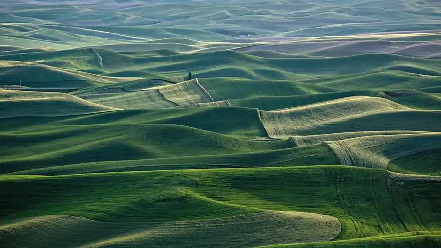 绿色山丘美景壁纸图片