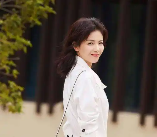 刘涛曾与他共枕4年,却转头和王珂结婚,今年过半百没结婚_李玮珉_角色