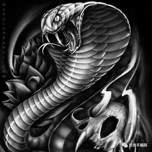 蛇手稿纹身大集合150张1