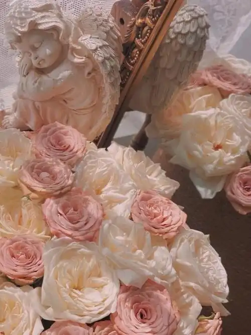 壁纸玫瑰花壁纸