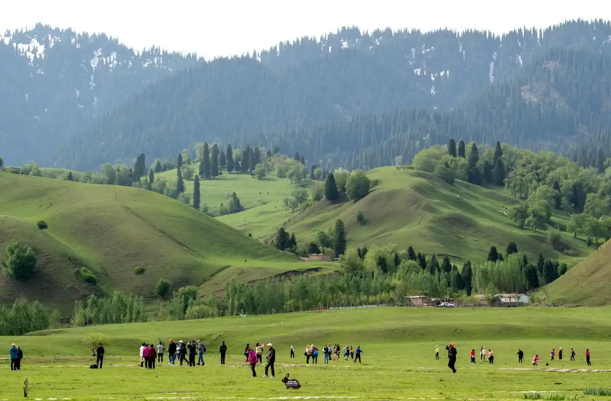 (社会)新疆那拉提草原美景引游人