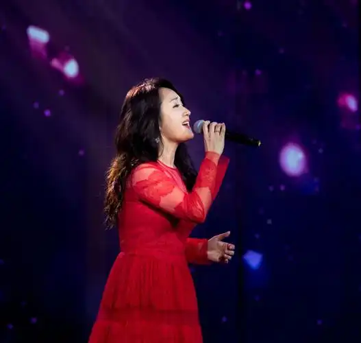 舞台照习作——杨钰莹,玖月奇迹群星演唱会
