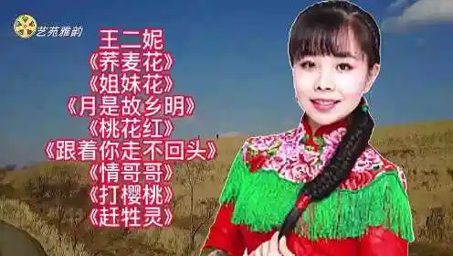 王二妮经典歌曲欣赏!