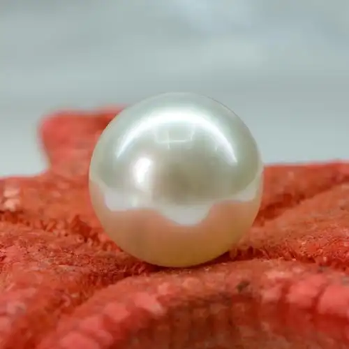 天然珍珠和养殖珍珠的区别天然珍珠和养殖珍珠有什么不一样