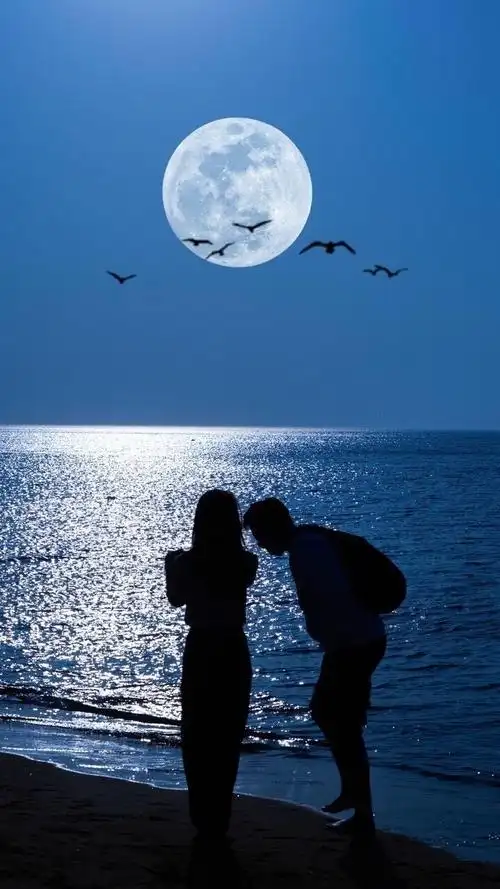 我太爱情侣(接吻)壁纸了哈哈哈哈/欢迎补充!