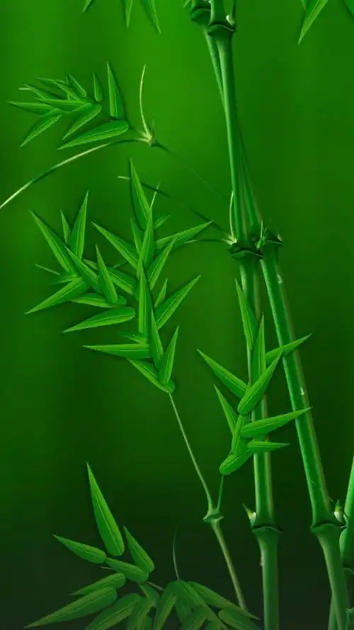 小艺输入法 - 华为mate系列 花粉俱乐部