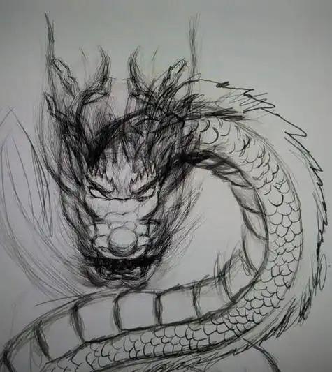 龙的素描画 龙的素描画图片