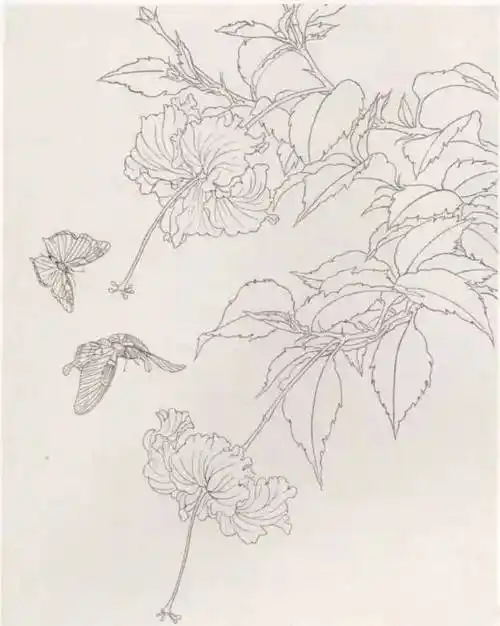 国画花鸟画教程工笔画蝴蝶白描图片上色步骤