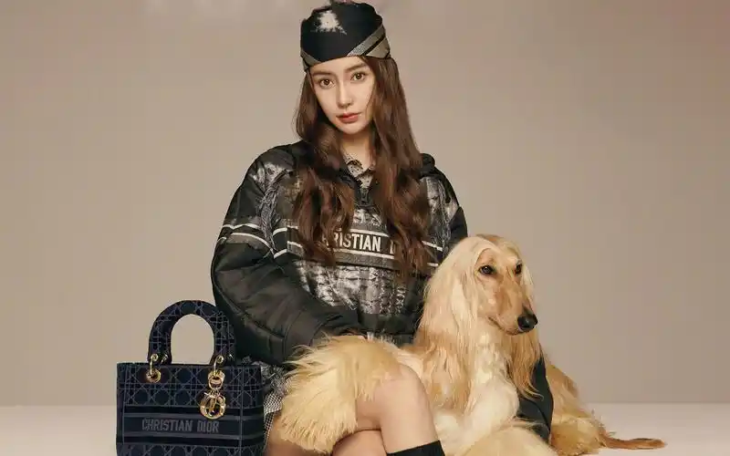 angelababy萌宠大片高清桌面壁纸