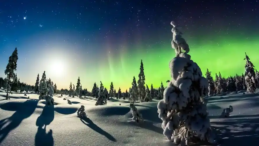 冬天,雪,森林,树,天空,星星,主题,自然图片,风景桌面壁纸