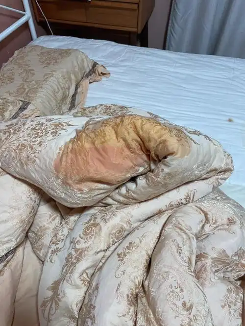 金毛猫咪记录一下八月洗过的被子