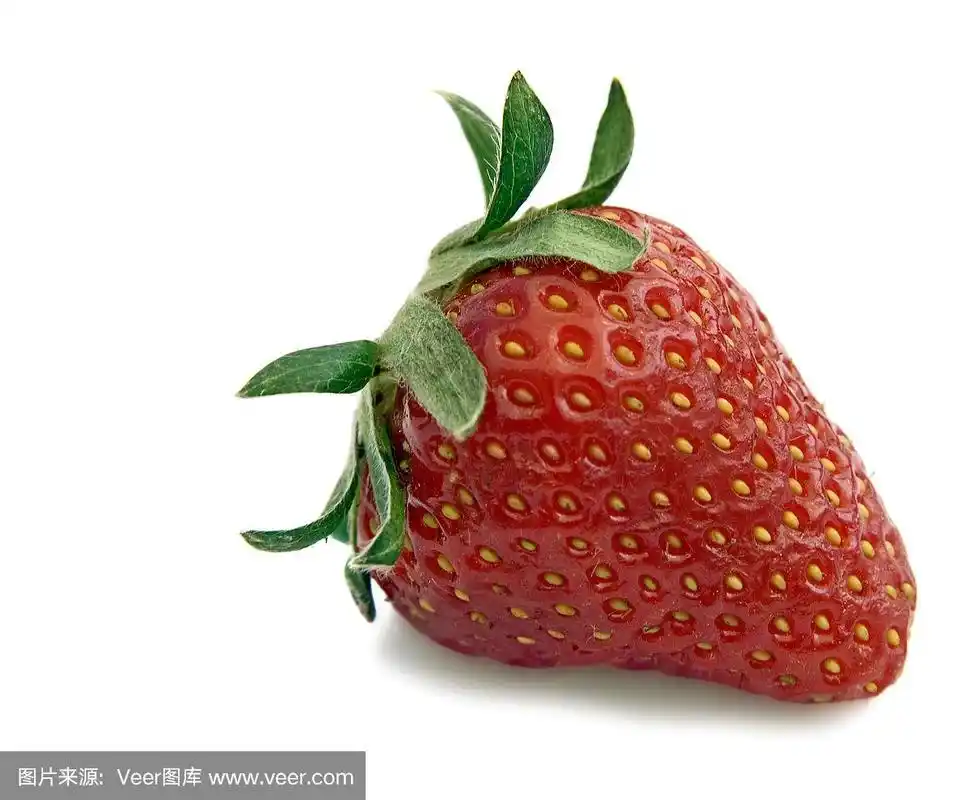 草莓,一个物体,红色,水平画幅,绿色