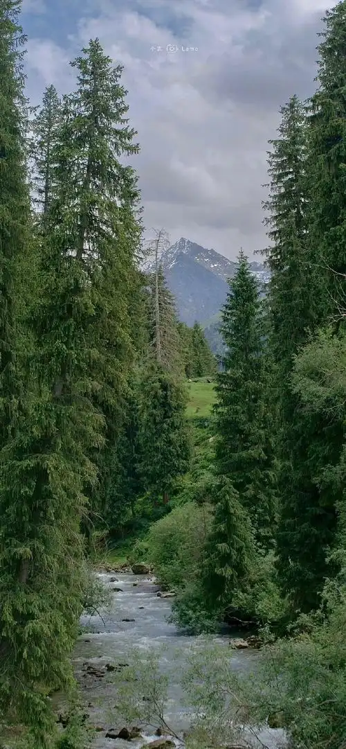 #二次元新鲜事##春天壁纸#