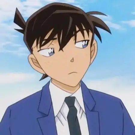 名侦探柯南情头,名侦探柯南情头一左一右男女-动漫头像