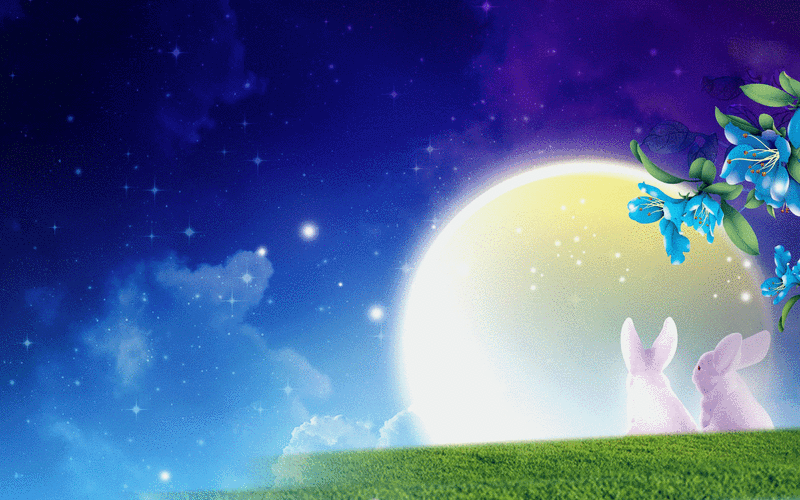 两只萌兔望月,高清动态桌面壁纸,免费下载!