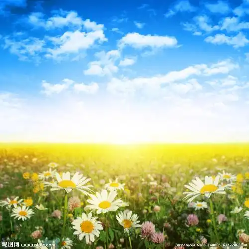 蓝天白云花卉图片
