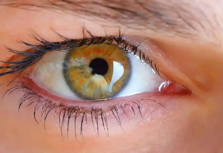 为你摘星,还你明眸(25)眼睑你所不知道的秘密