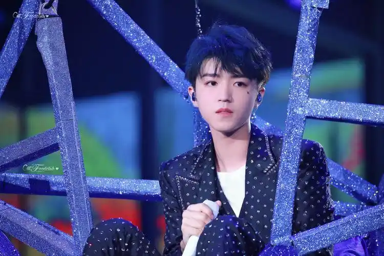 catfoodclub王俊凯的猫粮社