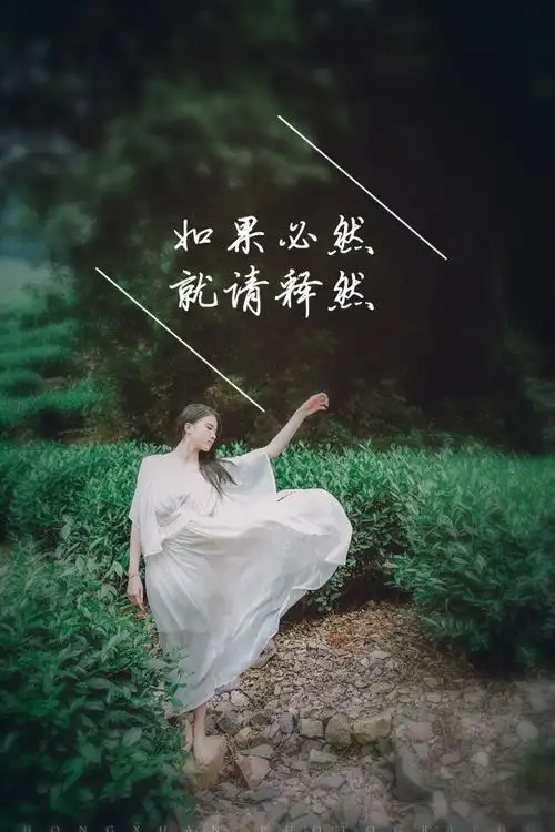 文字句子,壁纸,文字/q签录/如果必然,就请释然【龟速更新禁二