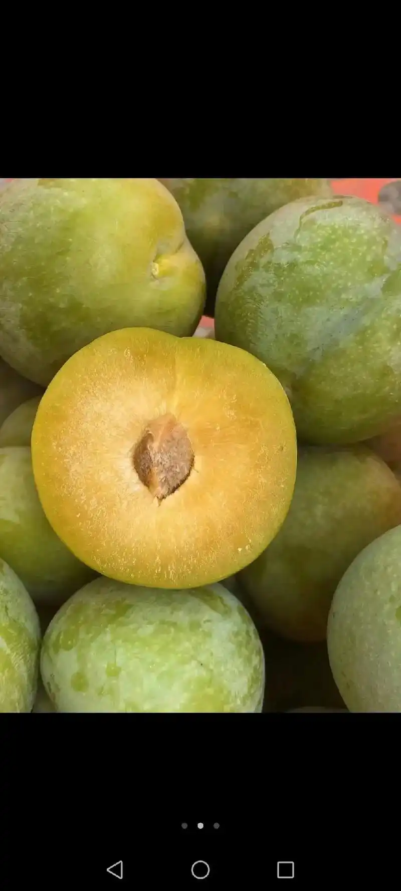 欢迎新老顾客抓紧时间订购吧,这个品种的李子很就结束了哦,#口 - 抖音