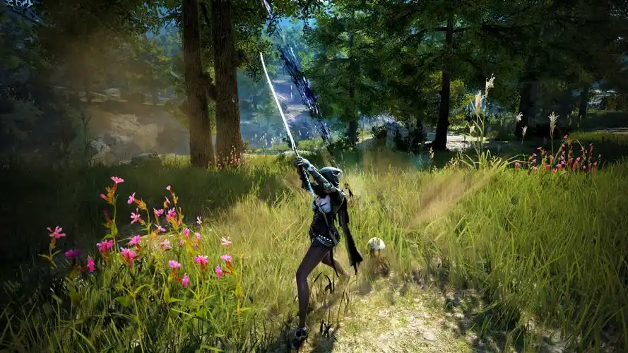 [吐槽] 黑色沙漠这个骑马姿势实在是一言难尽啊 nga玩家社区