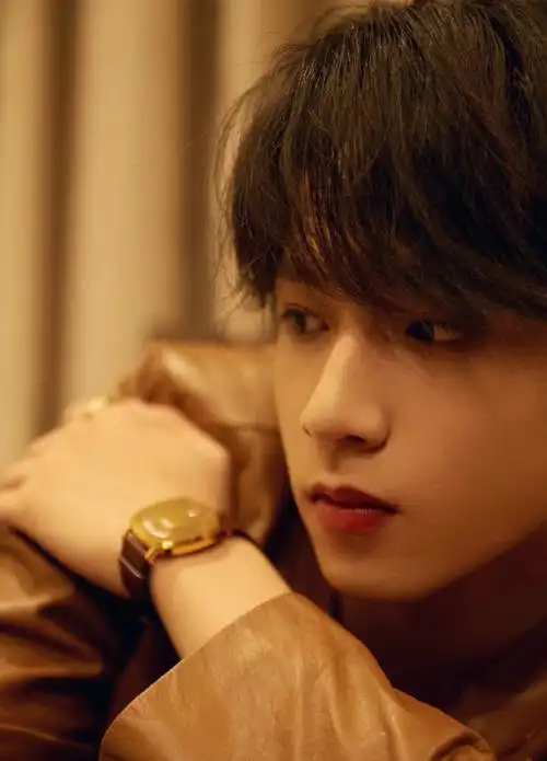 刘耀文卡其色皮衣