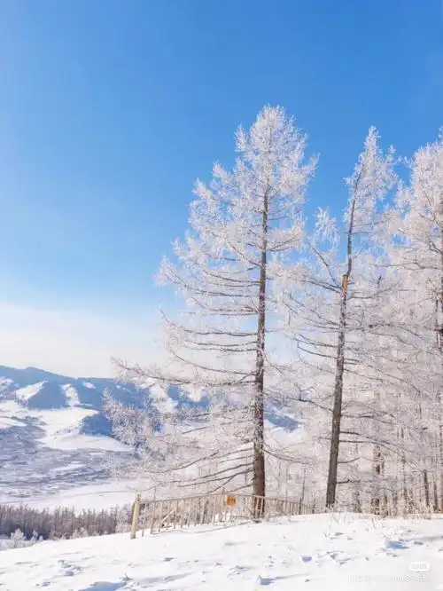 雪景- 堆糖,美图壁纸兴趣社区