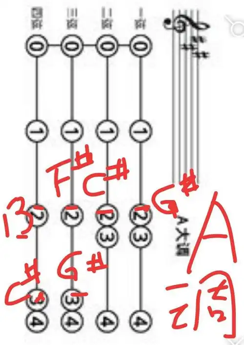 小提琴调与指法换把