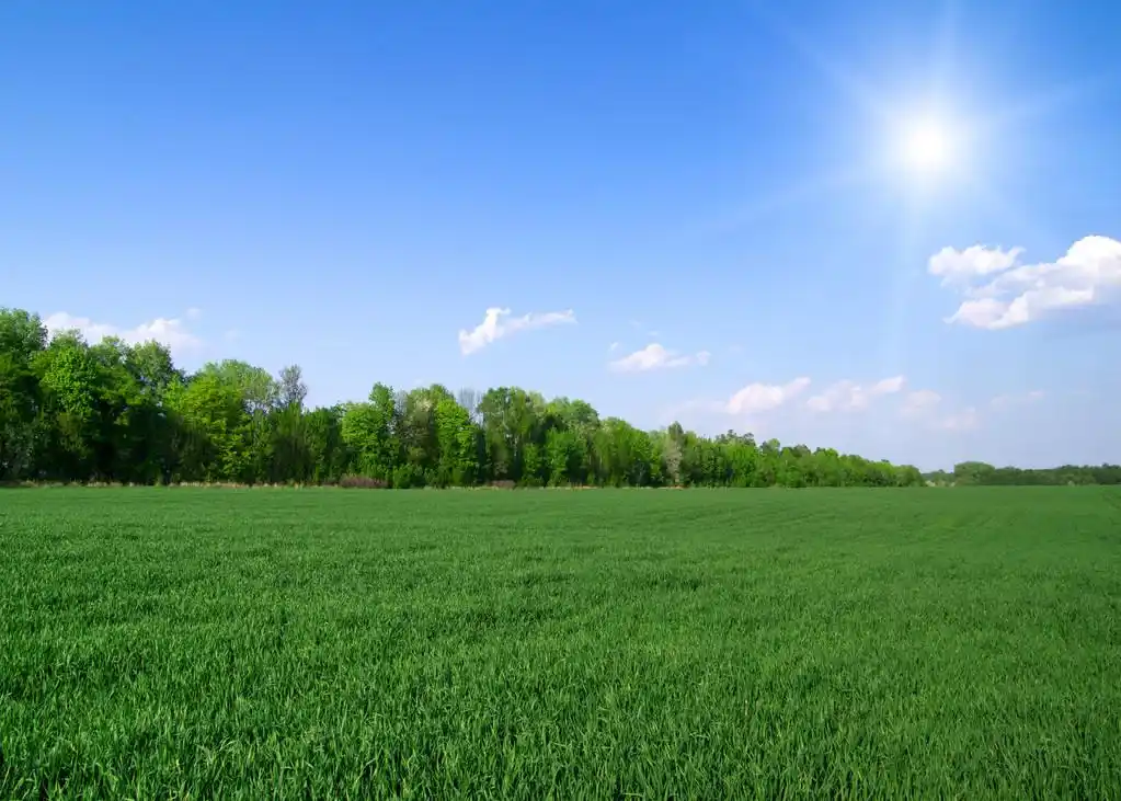 绿色的原野,绿地蓝天
