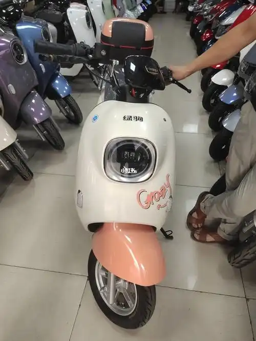 买电动车在两款之间横跳