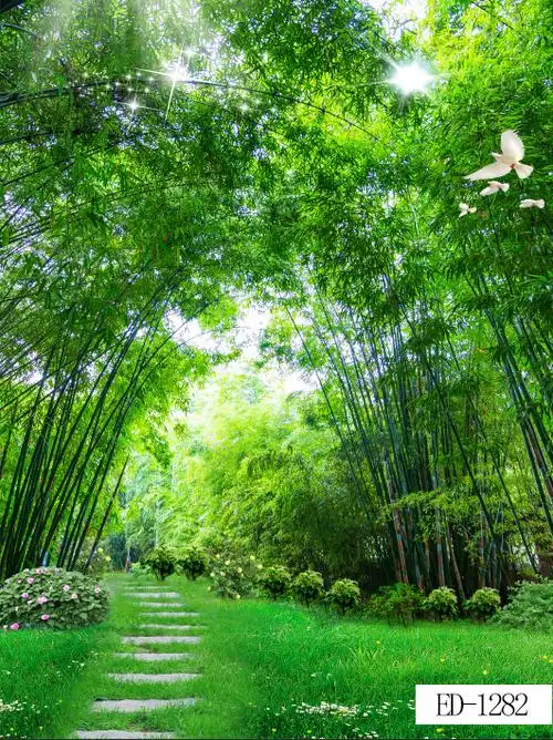 新直播背景布立体主播墙纸布3d大草原山水主竹林室外风景荷花中秋