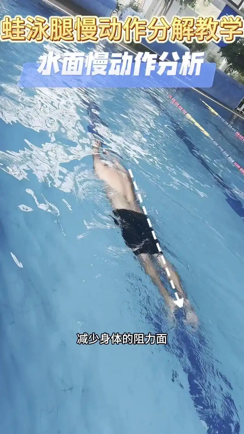 🐸蛙泳腿的正确蹬法.