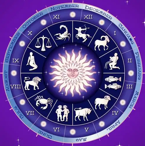 十二星座守护花