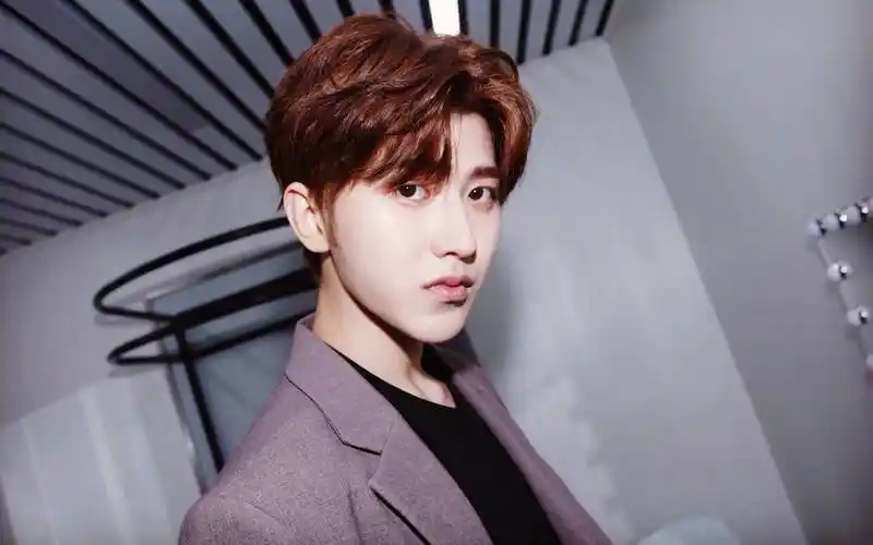 原创娱乐点评赵丽颖蔡徐坤李现毛晓慧张婧仪陶昕然