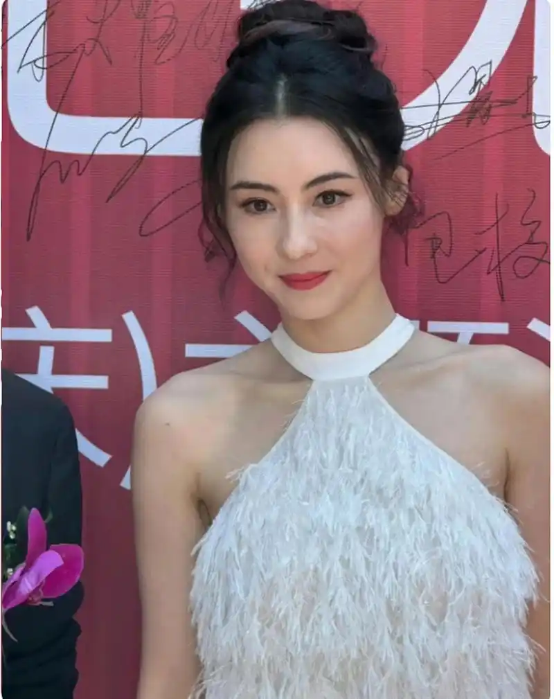 张柏芝 顶级骨相皮相结合的大美人 [大笑]大家认同嘛