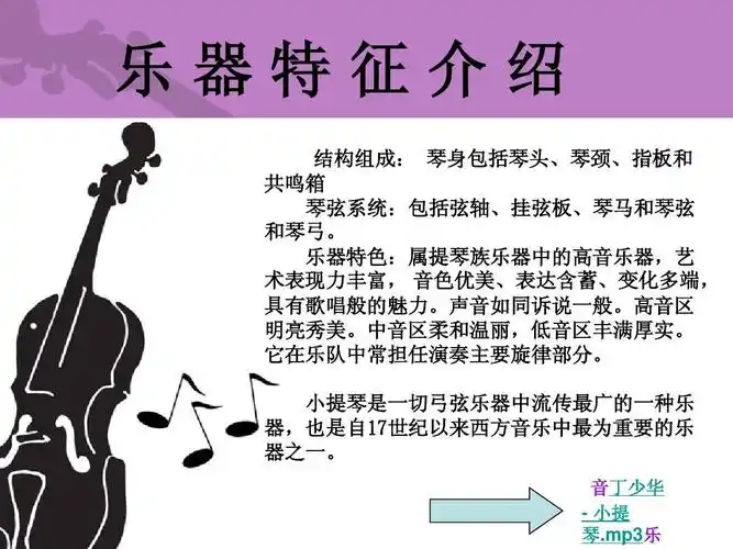 关于小提琴的介绍ppt