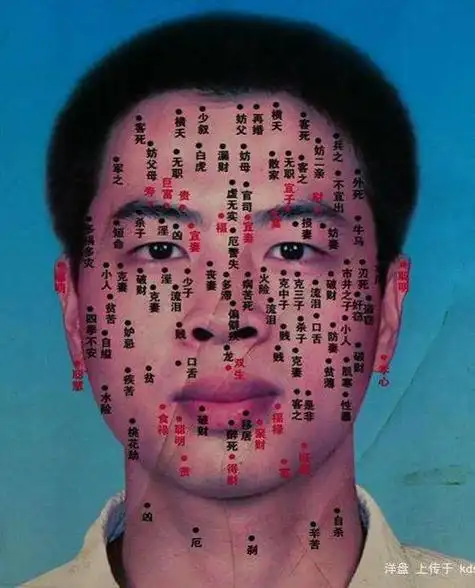 女人脸长痣的位置图解第1页贵夫痣有此痣是贵夫的痣相,女人右手婚姻线