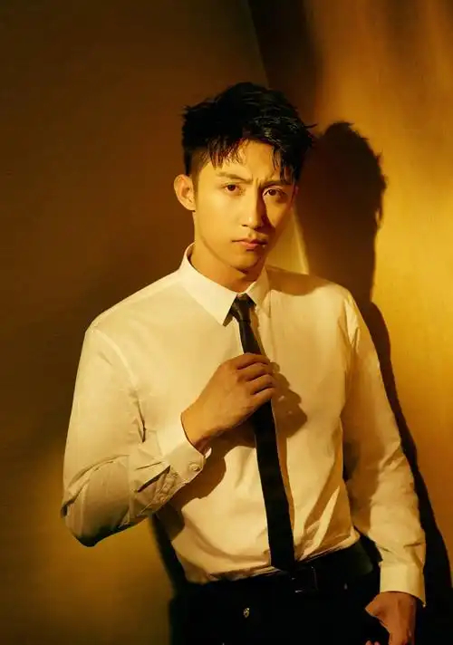 黄景瑜个人资料介绍(揭秘"硬汉小生"黄景瑜的成名之路)